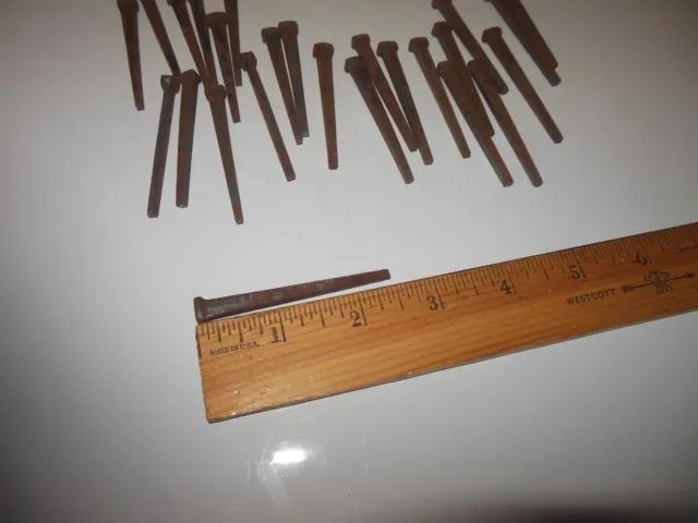 25 Square NAILS Rustic Vintage 2 1/2” Steel Cut Standard Large Heavy Duty NOS 3