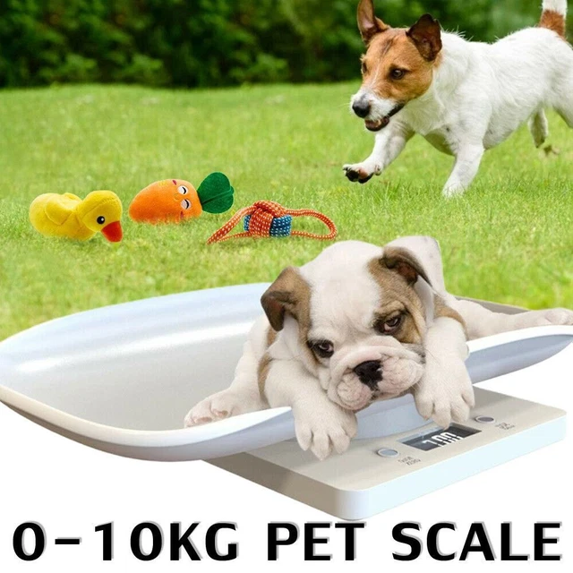 Escala corporal de 10 kg para gatitos y niños pequeños con balanzas digitales de peso para bebés