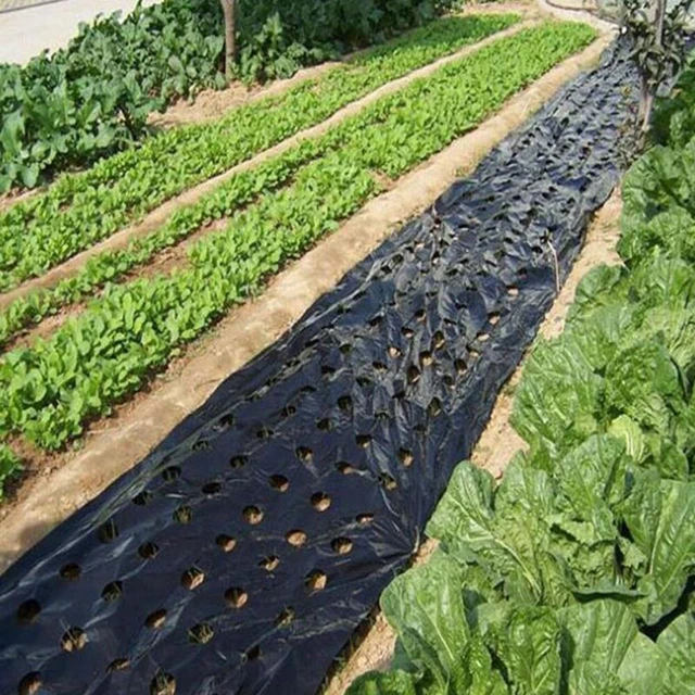 Pellicola plastica membrana copertura terra controllo erba 10 m * 95 cm con fori per giardino