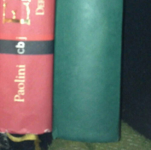 LISA J.SMITH: &amp;SEELEN der Finsternis: Tagebuch eines Vampirs ...