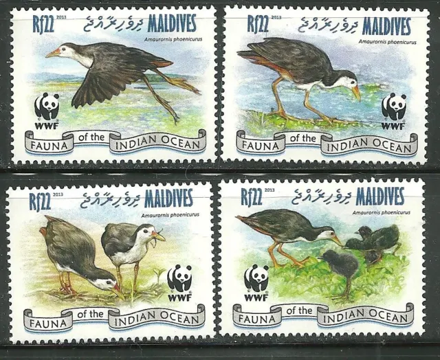 Maldivas 4878-81 Mnh Wwf Pechos Blancos Waterhen