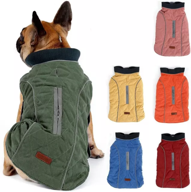 Doglemi jacket deals