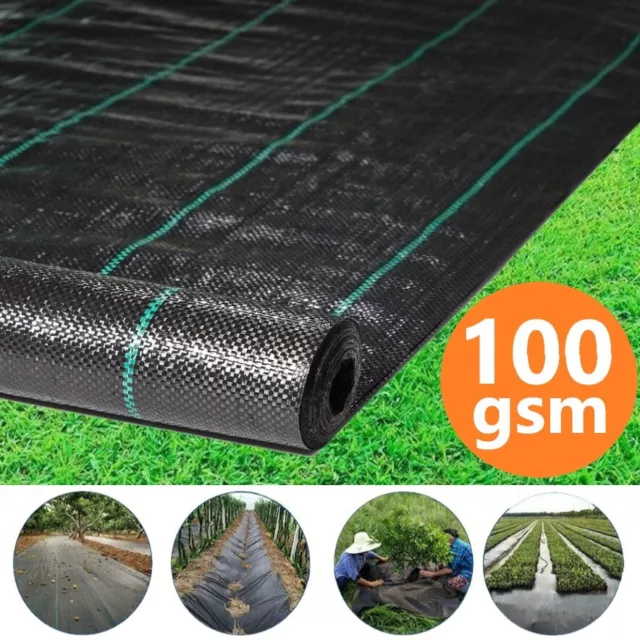Anti Weed Membrane Heavy Duty Weed Control Fabric Landscape Garden Ground Cover 3