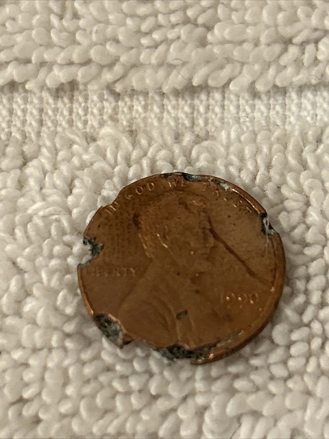 1900 No Mint Mark Environmental Damage Penny