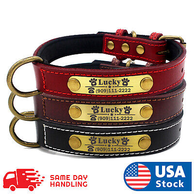 Custom Dog collar leather personalized Brass Name Plate  small medium large dog