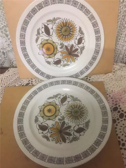 2 Retro Vintage 1960s KATHIE WINKLE Calypso Dinner Plates. Broadhurst England