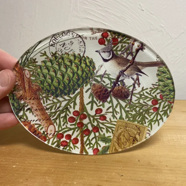 Michel Design Works Decorative Glass Soap Dish Bird Pattern 6X5 Oval