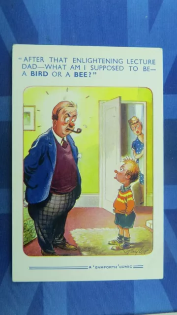 Saucy Bamforth Comic Postcard 1960s Sex Education Bird And Bees Theme 835 Picclick 