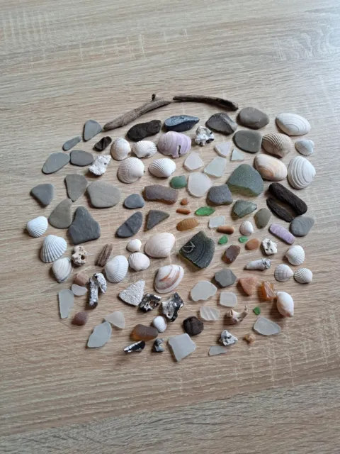 Strandgut * flache Steine,Treibholz, Seeglas * zum basteln oder Deko *über 100 T