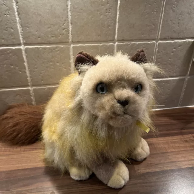 Anna club discount plush cat