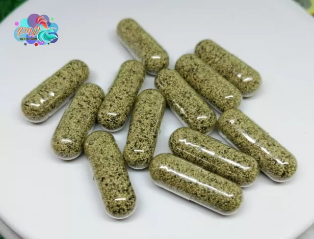 Moina Macrocopa Eggs Water Flea Live Food For Betta Guppy Fish Natural Capsule.