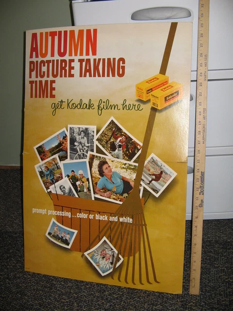 KODAK camera store sign 1960s hunting dog autumn football kids family 30" high