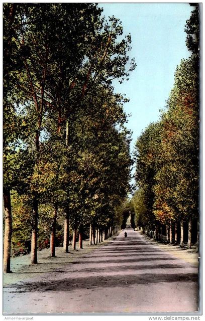 58 COSNE SUR LOIRE - the promenades between the two banks of loire