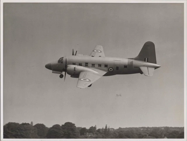 Vickers Varsity Vx828 Original Vintage Manufacturers Photo Raf Royal Air Force 1
