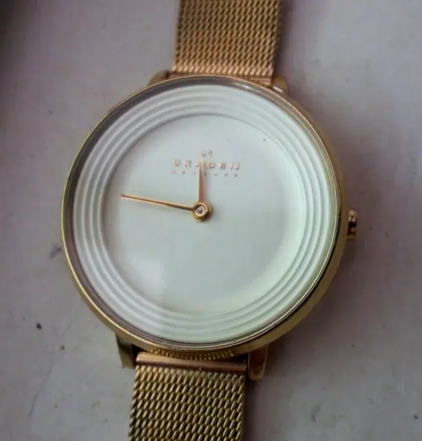 Skagen SKW2212 Ditte Champagne Dial Gold Tone Stainless Women's Watch