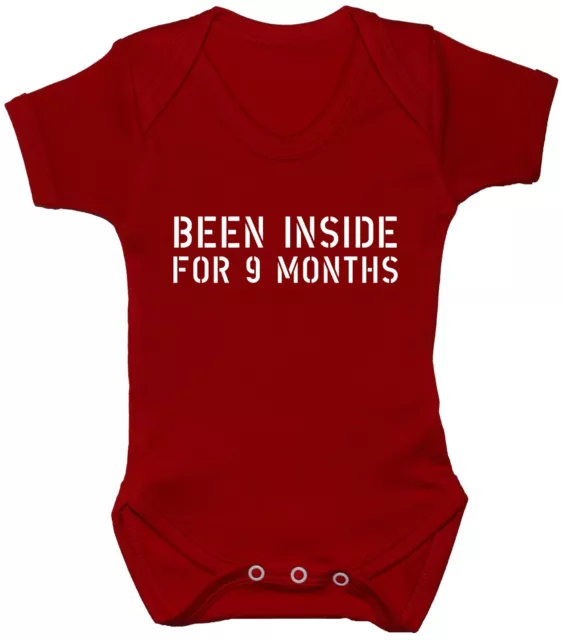 Been Inside Baby Grow Bodysuit Romper Vest Newborn-24m Acce Gift Boy Girl Funny