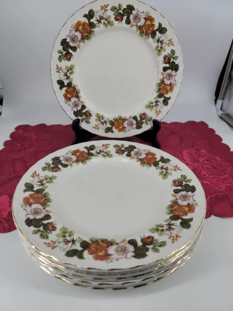 Barker Bros Royal Tudor Ware Dinner Plates 6pc Rosina Ironstone 1970s-80s VTG