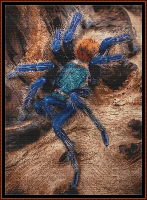TARENTULE BLEUE BOUTEILLE VERTE ~ motif de point de croix (araignée arachnide)