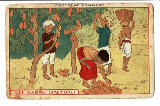 CPA - Carte postale-France -Le Cacao - d'Amérique-VM4949