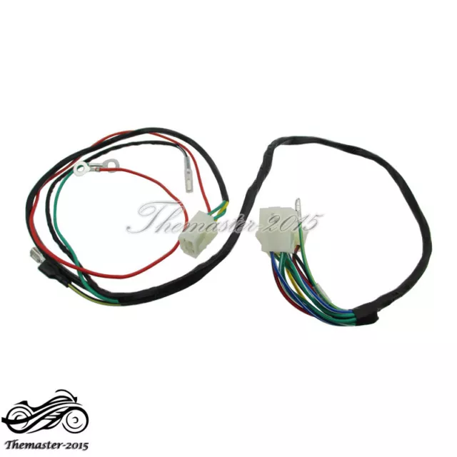 Wiring Loom For 190cc Daytona 4-Valve Anima 190FLX Engine with Light System
