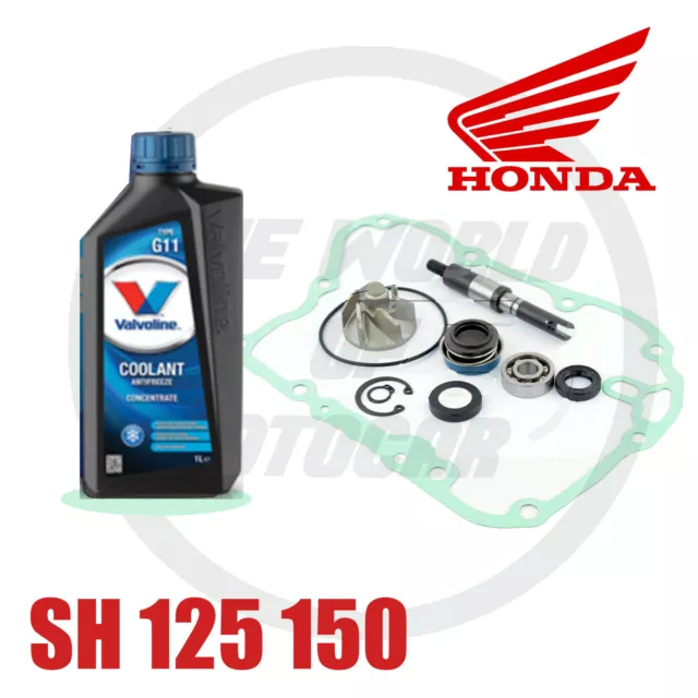 Kit/Revisione Pompa /Acqua Honda Sh 125 150 I 2001 '12 Guarnizione Liquido