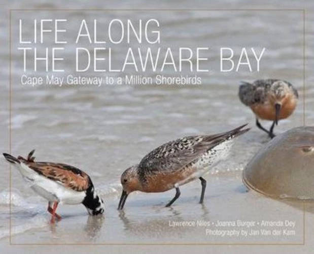 Life Along the Delaware Bay: Cape May, Gateway to a Million Shorebirds by Niles