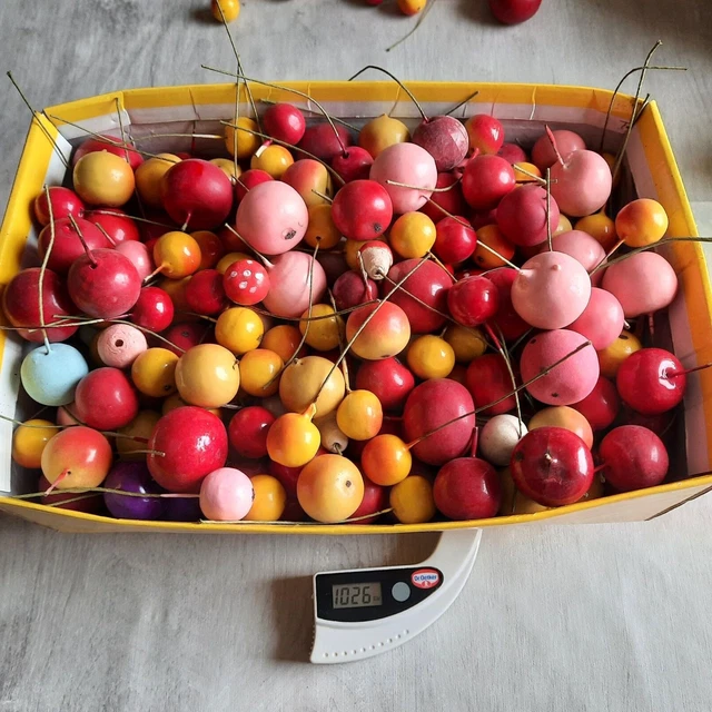 Deko Äpfel ,verschiedene Farbenund Größen künstlich, Früchte !!!