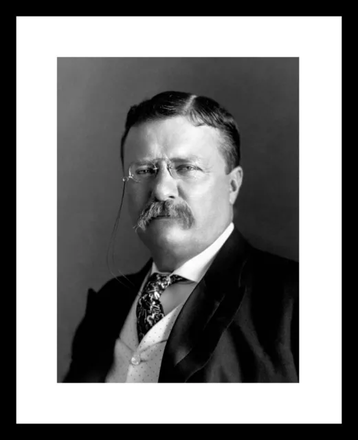 President THEODORE ROOSEVELT 8x10 Photo Print in Suit TR Teddy Rough Riders
