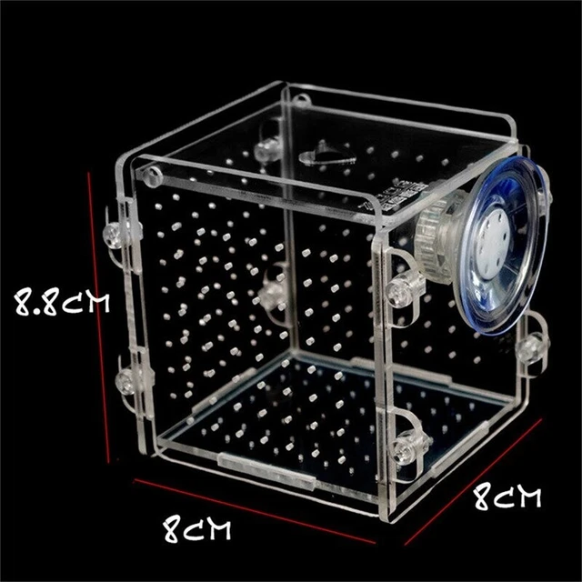 Aquarium accessories Fish Tank Breeding Isolation Box For Baby Fish Incubator