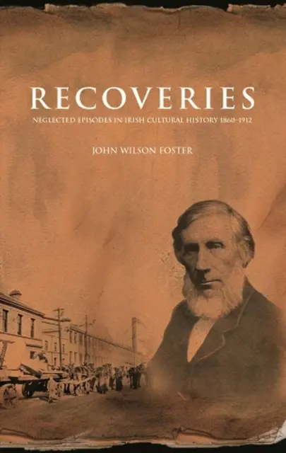 Recoveries: Neglected Episodes in Irish Cultural History 1860-1912 by John Wilso