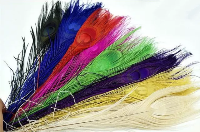 25-30cm Dyed Peacock Feathers Burnt Peacock Tail Millinery DIY Trim Costume 5pcs