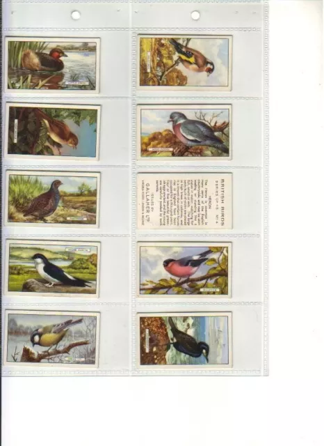 Gallaher, BRITISH BIRDS, Full Set, 48/48x Cards, VG/Good, 1937