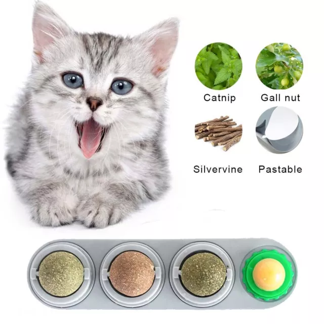 Chew Ball Teeth Cleaning Cat Supplies Cat Snacks Cat Toys Molar Catnip Balls