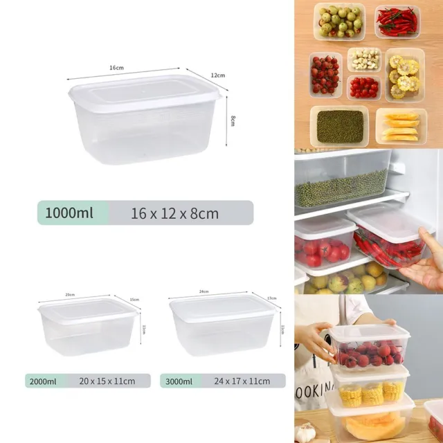 Razab 40 PC WIDE DEEP Food Storage Containers - Sugar, Flour Plastic  Containers 40 pc (set of