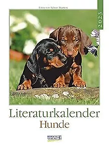 Literaturkalender Hunde 2023: Literarischer Wochenk... | Buch | Zustand sehr gut