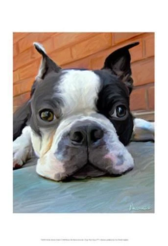 Robert Mcclintock Moxley Boston Terrier Open Edition