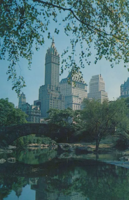 Central Park And Fifth Ave Hotels New York City NY Vintage Chrome Post Card