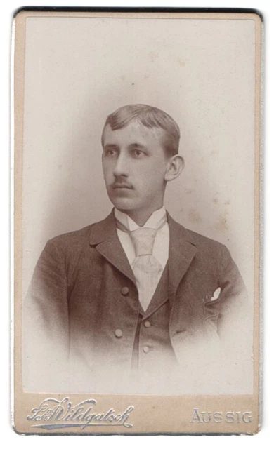 Fotografie J. Wildgatsch, Aussig a. d. Elbe, Teplitzerstrasse 15, Portrait eleg