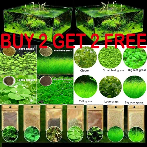 10g/bag Aquarium Plant Seeds Fish Tank Aquatic Water Grass Foreground Easy Plant