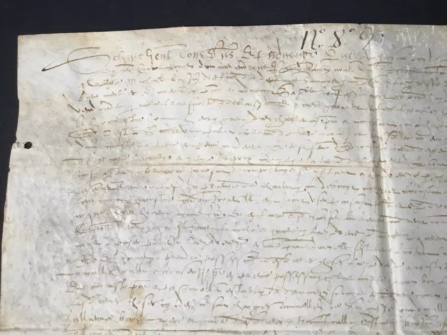 Manuscrit Parchemin XVIè Daté 1593 Acte Notarié Contenu A Déterminer 16thC 2