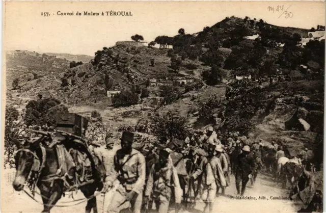 CPA AK Convoi de Mulets a Téroual MAROC (669130)