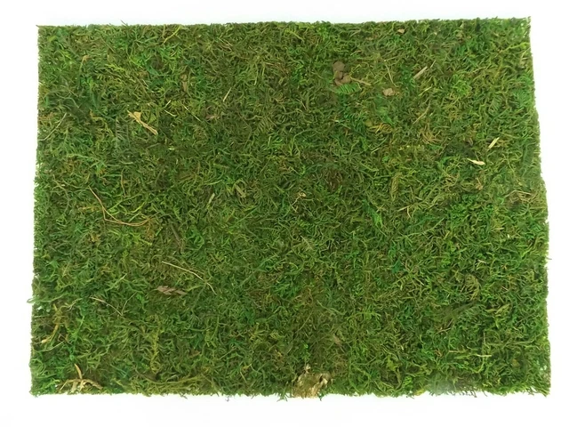 Placa de musgo natural alfombra de hierba césped 40x30cm para cunas. Decoración - ¡modelización!¡!