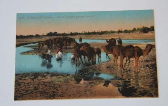 CPA Carte Postale ancienne couleur Vue à l' Oued Bayech Sétif Sept 1922