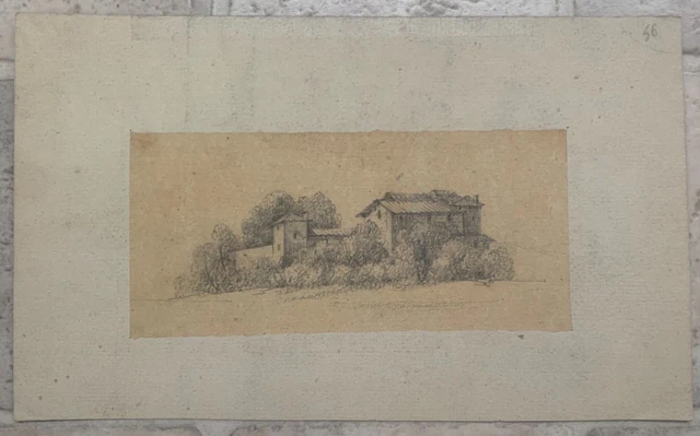 Dessin Ancien Crayon Noir Et Blanc Sur Papier Étude XIXème Florale