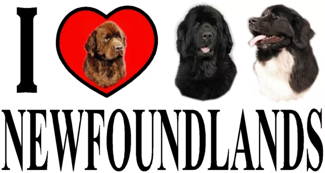 I LOVE NEWFOUNDLANDS Dog Car Sticker By Starprint - Ft. the Newfoundland