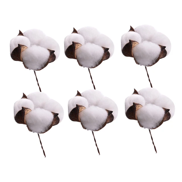 6 Pcs Natural Flower Heads Picks Dried Branches Filler Cotton Decor