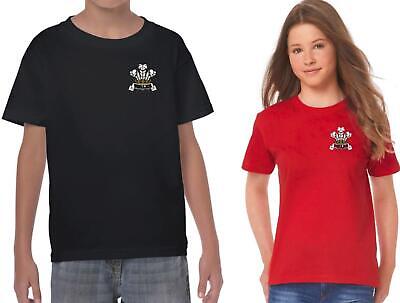 Wales Three Feathers Kids T shirt Red or Black Welsh Top Ages 1-13
