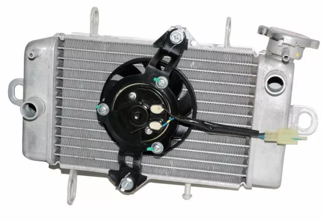 Cache Montage Radiateur Avec Ventilateur Pour Yamaha YZF R15 Version 1 V1 Models