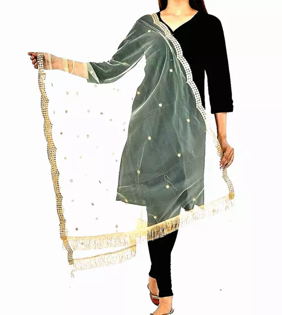 Bestickt Mirrorwork Silber Netz Dupatta Stola Handmade Künstlerisch Damen Ethno