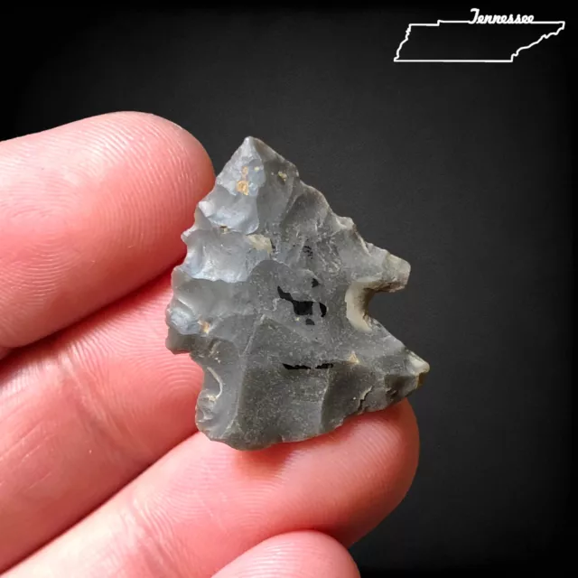 Archaic Palmer Arrowhead.Hornstone.Found By Bob Reeves.Jefferson Co, TN. 1&1/16”